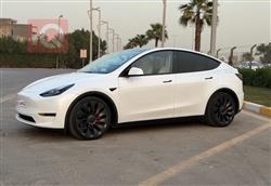 تسلا موديل Y